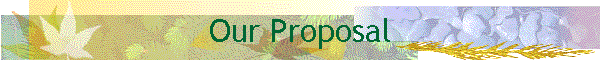 Our Proposal
