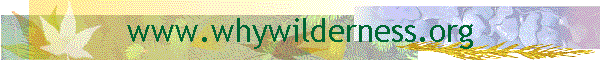 www.whywilderness.org