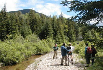 Quest filming on Algonquin Brook
