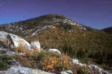 South Baldface by Robert J Kozlow