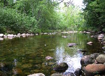 Wild River by Robert J Oppegaard